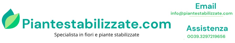 Piante stabilizzate , piante artificiali, bonsai stabilizzati ,quadri vegetali stabilizzati ,muschi e licheni stabilizzati